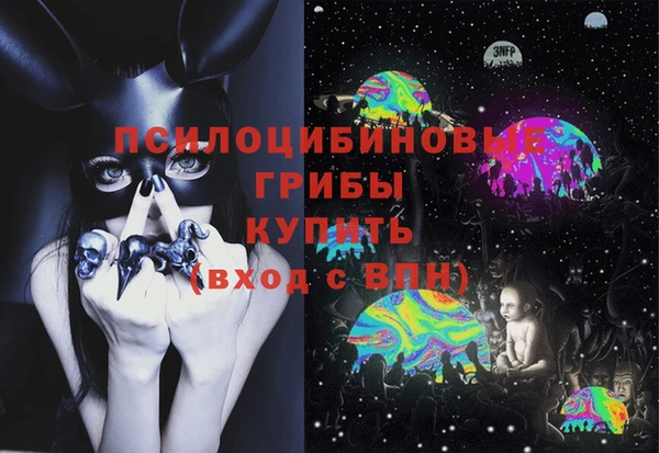 спайс Алексин