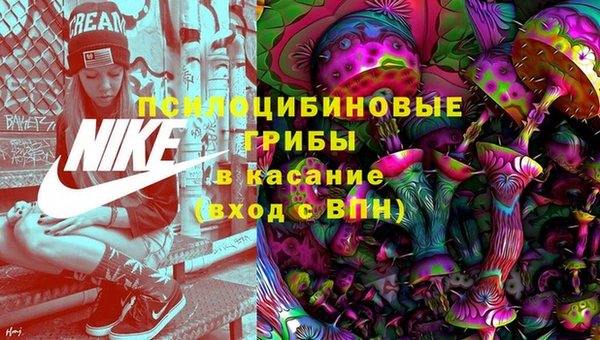 гашик Абаза
