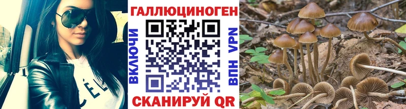Галлюциногенные грибы мухоморы  kraken ONION  Тулун 