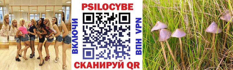Галлюциногенные грибы Psilocybine cubensis Тулун