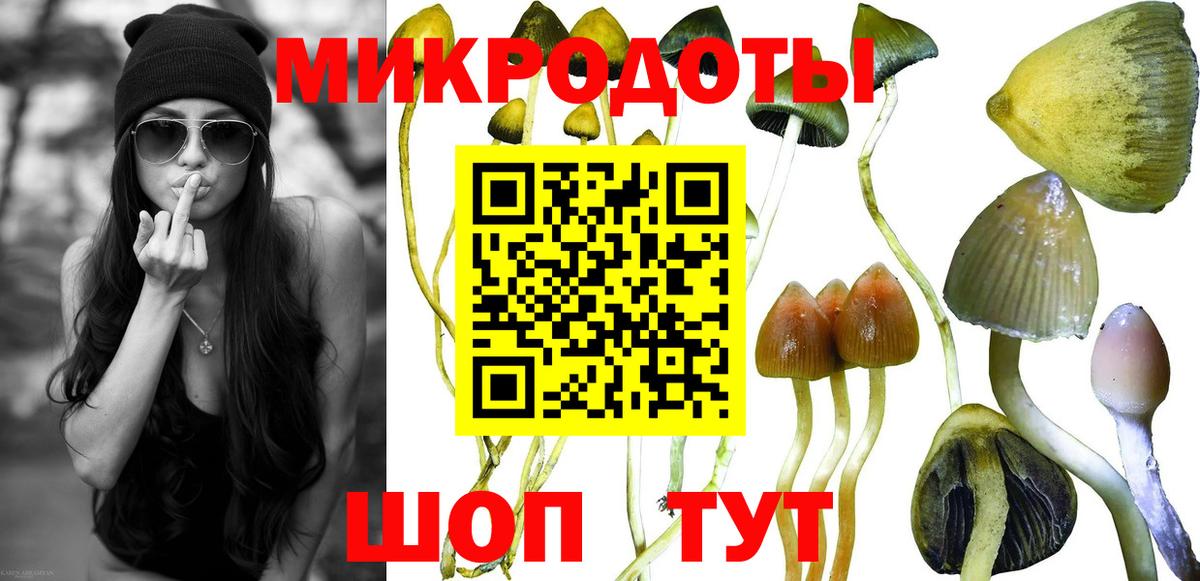 Тулун  Галлюциногенные грибы прущие грибы  Псилоцибиновые грибы мухоморы  Вход с VPN 